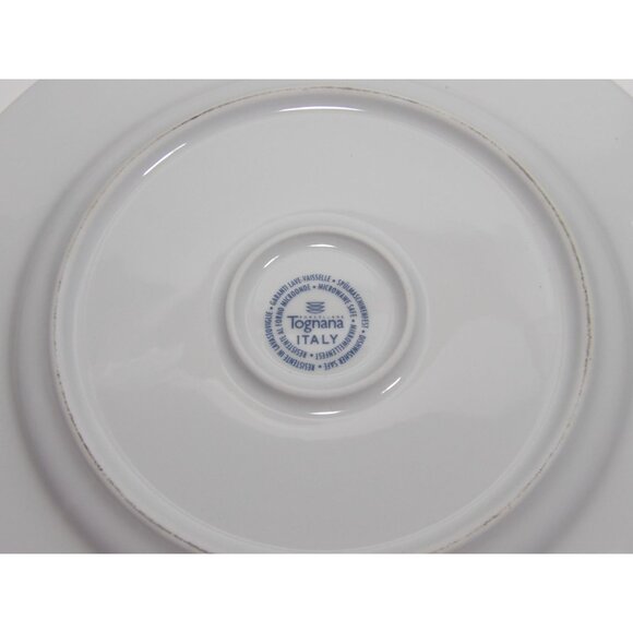 Tognana Italy Blue Plaid Fruit Porcelain Dinner Plate - Picture 4 of 6